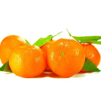 约巢四川蜜桔新鲜水果橘子当季无籽黄皮柑桔整箱桔子批发蜜橘 带箱3-4斤装 小果