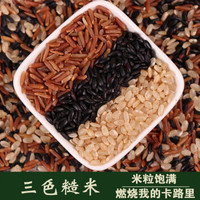 五常黑香米5斤装 黑米粥原料黑大米无染色杂粮500多规格可选 2斤