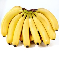约巢云南高山甜香蕉整箱当季水果新鲜自然熟批发非红皮香蕉小米蕉 混合普通果 净果3斤