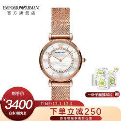 阿玛尼(EmporioArmani)满天星手表摩天轮 编织钢带休闲时尚石英女士腕表AR11320