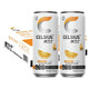 CELSIUS 燃力士 无糖橙口味碳酸维生素运动饮料 300ML*24罐