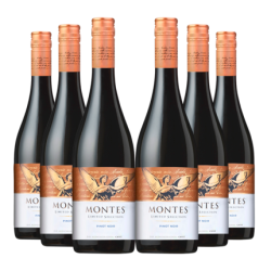 montes 蒙特斯 精选黑皮诺干红葡萄酒 750ml*6支