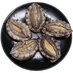 御鲜之王 鲜活大连鲍鱼海鲜水产 烧烤食材 活鲍鱼 1000g 20-25只