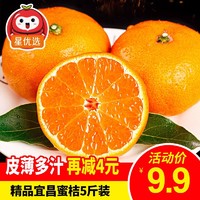 新鲜宜昌蜜桔 精品5斤装 果径55mm以上 酸甜柑橘桔子 薄皮蜜橘