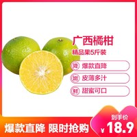 广西皇帝柑 精品5斤装 果径55-60mm 贡柑蜜橘 现摘青皮甜橘子 新鲜柑橘桔子水果