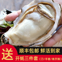 蔬香客 乳山生蚝 鲜活海蛎子 火锅食材 *8件