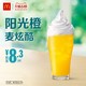 McDonald's 麦当劳 阳光橙麦炫酷 电子优惠券 10次