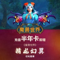 BLIZZARD 暴雪 《魔兽世界》半年卡