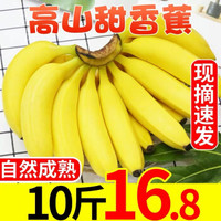 云南香蕉自然熟 带箱10斤 当季新鲜水果 整箱批发高原甜香蕉 优选大蕉 净重9斤（30%人选)