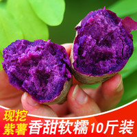 紫薯新鲜10斤农家蜜薯板栗香红沙地薯地瓜糖心蔬菜山芋小番薯包邮