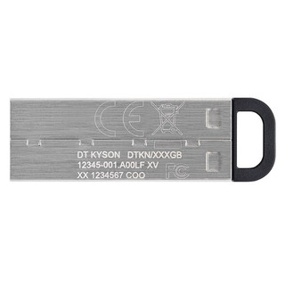 Kingston 金士顿 DataTraveler系列 DTKN USB 3.2 U盘 银色 256GB USB-A