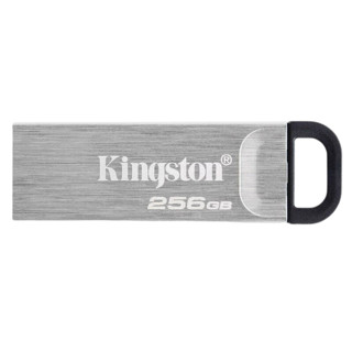 Kingston 金士顿 DataTraveler系列 DTKN USB 3.2 U盘 银色 256GB USB-A