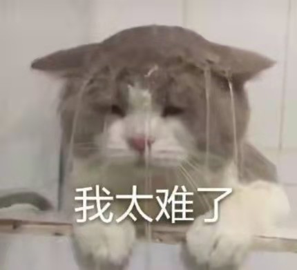 小编精选:能耐了!我的油头皮终于有救了~洗后发根蓬松清爽还止痒防脱