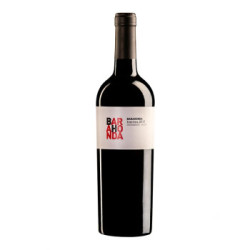 BARAHONDA 巴洛侯 干红葡萄酒 750ml *2件