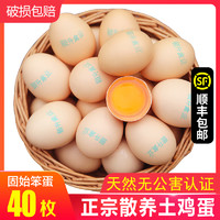 颐升土鸡蛋新鲜固始笨鸡蛋40枚天然散养柴草鸡蛋正宗农家初生蛋