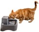 PetSafe Drinkwell Original 或 1/2 加仑宠物喷泉 – 猫和小型犬饮用喷泉 灰色 1/2 Gallon Fountain