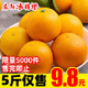 湖南麻阳冰糖橙5斤装 4.8元