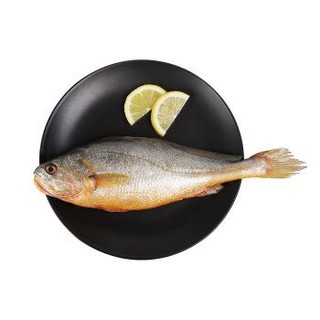 正大食品(CP) 宁德大黄鱼500g 国产鲜冻 生鲜海鲜水产 *6件