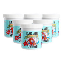 考拉海购黑卡会员：BAD AIR SPONGE 空气净化剂 400g*6瓶