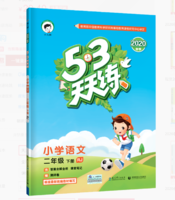 《53天天练 小学语文二年级下册》