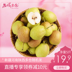 新疆库尔勒香梨5斤脆甜小香梨子现摘当季孕妇新鲜水果整箱包邮10