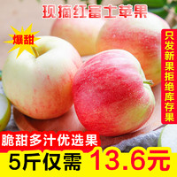 红富士苹果水果 净重5斤装 果径75-85mm(两件合并发货，净9斤左右)