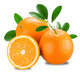 江西赣州橙子赣南脐橙当季新鲜应季水果冰糖大果整箱10斤产地直发