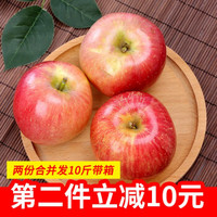 xinanzhuang 辛安庄 红富士冰糖心丑苹果（单果75mm-80mm）5斤 *2件