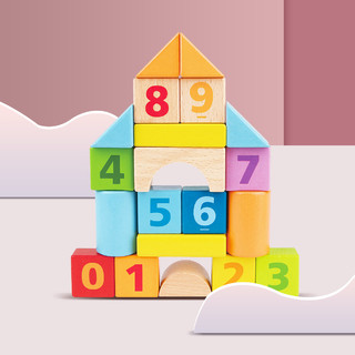 德国12个月+婴幼玩具儿童积木玩具启蒙益智20块积木
