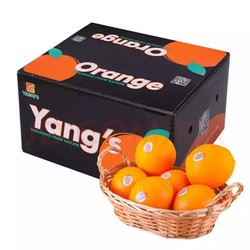 杨氏赣南脐橙 鲜甜橙子 精选5kg钻石果礼盒装 单果240g起 新生鲜水果