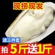 乳山生蚝鲜活新鲜特大牡蛎带壳海蛎子蚝肉贝类海鲜水产生蚝肉批发
