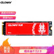 光威（Gloway）1TB SSD固态硬盘｜M.2接口(NVMe协议)｜弈Pro系列-国产固态｜缓存版