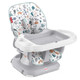 费雪（Fisher-Price）宝宝婴儿用品 2合1简约风宝宝餐椅梦幻乐园款GPJ87 +凑单品