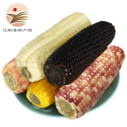 KEEP W-VILLAGE GO 守望乡村 即食糯玉米 200g*4根 *2件
