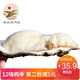 新鲜生蚝海蛎子乳山牡蛎生蚝鲜活刺身海鲜水产烧烤食材新鲜 50-80克4.5斤（净重4斤）