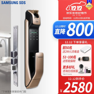 SAMSUNG三星指纹锁防盗门智能锁蓝牙APP家用电子密码锁全自动门锁 DP728 SHP-DP728香槟金