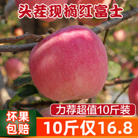 陕西红富士苹果新鲜水果10斤当季整箱批发应季糖心丑苹果脆甜包邮
