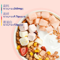 五谷磨房 吃个彩虹酸奶水果麦片 400g *5件