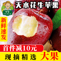 甘肃天水花牛苹果5斤新鲜水果香甜脆口天水红蛇果10斤带箱 平等