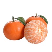 新鲜沃柑 2.5斤 60-65mm新鲜水果柑橘子 甜