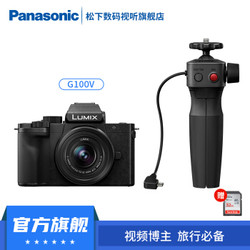 松下（Panasonic）G100 vlog微单/单电数码相机 4K视频拍摄 专业收音 G100+12-32mm+手柄