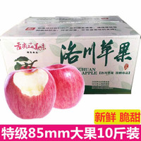 陕西洛川红富士苹果水果