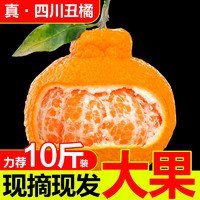 四川不知火丑橘大果5斤丑柑丑八怪手剥桔子新鲜水果整箱包邮10斤