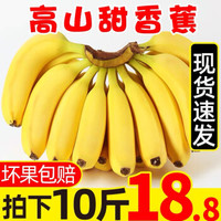 云南香蕉自然熟 带箱10斤 当季新鲜水果 整箱批发高原甜香蕉 精选大蕉 净重9斤（60%人选)