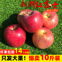 新鲜山西红富士苹果 80mm只发大果 14.9起