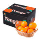 杨氏赣南脐橙 鲜甜橙子 精选5kg钻石果礼盒装 单果240g起 新生鲜水果 *2件