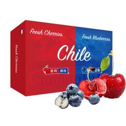 京觅 智利进口车厘子+蓝莓组合装（车厘子2.5kg JJ级大果+蓝莓6盒装大果 约125g/盒）
