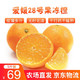 爱媛28号红美人柑橘果冻橙新鲜桔子水果 净重5斤装闪电发货