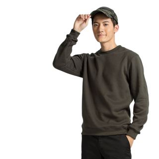 DECATHLON 迪卡侬 100系列 男士套头衫 灰绿色