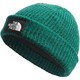  THE NORTH FACE 北面 Salty Dog Beanie 毛线帽　